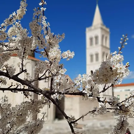 New! Jolie In - With Free Parking And Terrace!